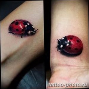 фото идея тату божья коровка 22.12.2018 №037 - photo ladybug tattool- tattoo-photo.ru