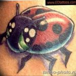 фото идея тату божья коровка 22.12.2018 №047 - photo ladybug tattool- tattoo-photo.ru