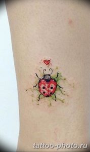 фото идея тату божья коровка 22.12.2018 №048 - photo ladybug tattool- tattoo-photo.ru