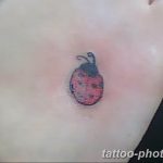фото идея тату божья коровка 22.12.2018 №050 - photo ladybug tattool- tattoo-photo.ru