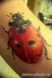 фото идея тату божья коровка 22.12.2018 №055 - photo ladybug tattool- tattoo-photo.ru