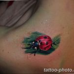 фото идея тату божья коровка 22.12.2018 №057 - photo ladybug tattool- tattoo-photo.ru