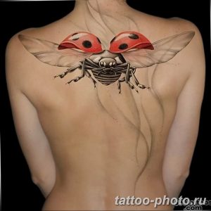 фото идея тату божья коровка 22.12.2018 №059 - photo ladybug tattool- tattoo-photo.ru