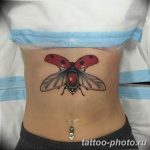 фото идея тату божья коровка 22.12.2018 №064 - photo ladybug tattool- tattoo-photo.ru