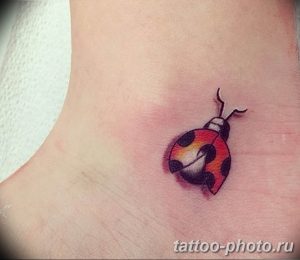 фото идея тату божья коровка 22.12.2018 №082 - photo ladybug tattool- tattoo-photo.ru