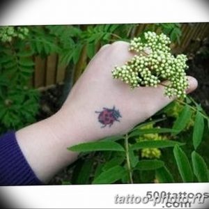 фото идея тату божья коровка 22.12.2018 №084 - photo ladybug tattool- tattoo-photo.ru