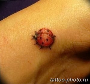 фото идея тату божья коровка 22.12.2018 №087 - photo ladybug tattool- tattoo-photo.ru