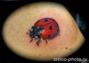 фото идея тату божья коровка 22.12.2018 №100 - photo ladybug tattool- tattoo-photo.ru