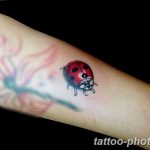 фото идея тату божья коровка 22.12.2018 №109 - photo ladybug tattool- tattoo-photo.ru