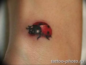 фото идея тату божья коровка 22.12.2018 №110 - photo ladybug tattool- tattoo-photo.ru