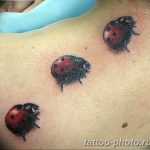 фото идея тату божья коровка 22.12.2018 №113 - photo ladybug tattool- tattoo-photo.ru