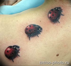 фото идея тату божья коровка 22.12.2018 №113 - photo ladybug tattool- tattoo-photo.ru