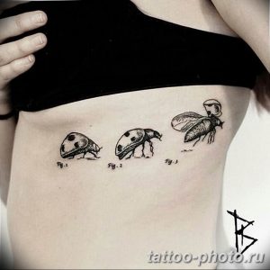 фото идея тату божья коровка 22.12.2018 №124 - photo ladybug tattool- tattoo-photo.ru