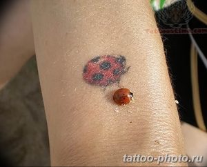 фото идея тату божья коровка 22.12.2018 №140 - photo ladybug tattool- tattoo-photo.ru