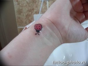 фото идея тату божья коровка 22.12.2018 №143 - photo ladybug tattool- tattoo-photo.ru