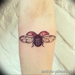 фото идея тату божья коровка 22.12.2018 №149 - photo ladybug tattool- tattoo-photo.ru