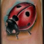 фото идея тату божья коровка 22.12.2018 №158 - photo ladybug tattool- tattoo-photo.ru