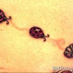 фото идея тату божья коровка 22.12.2018 №160 - photo ladybug tattool- tattoo-photo.ru