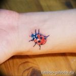 фото идея тату божья коровка 22.12.2018 №163 - photo ladybug tattool- tattoo-photo.ru
