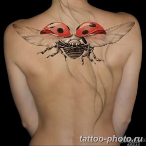 фото идея тату божья коровка 22.12.2018 №169 - photo ladybug tattool- tattoo-photo.ru