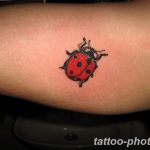 фото идея тату божья коровка 22.12.2018 №189 - photo ladybug tattool- tattoo-photo.ru