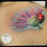 фото идея тату божья коровка 22.12.2018 №191 - photo ladybug tattool- tattoo-photo.ru