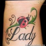 фото идея тату божья коровка 22.12.2018 №192 - photo ladybug tattool- tattoo-photo.ru