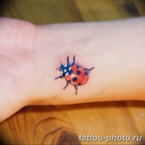 фото идея тату божья коровка 22.12.2018 №196 - photo ladybug tattool- tattoo-photo.ru