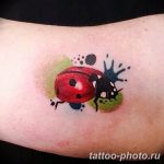фото идея тату божья коровка 22.12.2018 №199 - photo ladybug tattool- tattoo-photo.ru