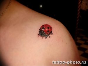 фото идея тату божья коровка 22.12.2018 №221 - photo ladybug tattool- tattoo-photo.ru