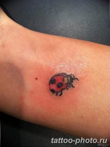 фото идея тату божья коровка 22.12.2018 №223 - photo ladybug tattool- tattoo-photo.ru