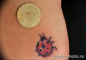 фото идея тату божья коровка 22.12.2018 №231 - photo ladybug tattool- tattoo-photo.ru