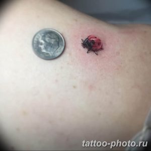 фото идея тату божья коровка 22.12.2018 №243 - photo ladybug tattool- tattoo-photo.ru