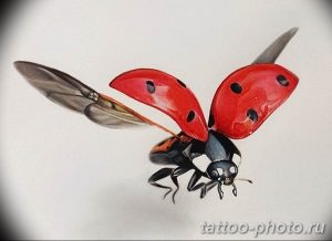 фото идея тату божья коровка 22.12.2018 №264 - photo ladybug tattool- tattoo-photo.ru