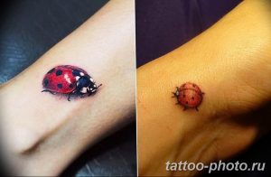 фото идея тату божья коровка 22.12.2018 №271 - photo ladybug tattool- tattoo-photo.ru
