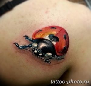 фото идея тату божья коровка 22.12.2018 №279 - photo ladybug tattool- tattoo-photo.ru