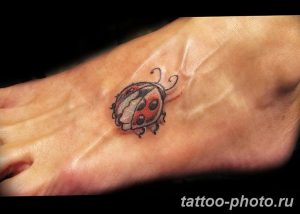 фото идея тату божья коровка 22.12.2018 №293 - photo ladybug tattool- tattoo-photo.ru