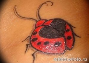 фото идея тату божья коровка 22.12.2018 №294 - photo ladybug tattool- tattoo-photo.ru
