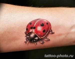фото идея тату божья коровка 22.12.2018 №297 - photo ladybug tattool- tattoo-photo.ru