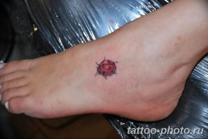 фото идея тату божья коровка 22.12.2018 №299 - photo ladybug tattool- tattoo-photo.ru