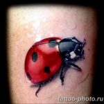 фото идея тату божья коровка 22.12.2018 №300 - photo ladybug tattool- tattoo-photo.ru
