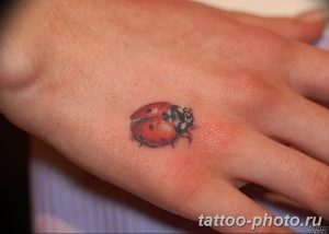 фото идея тату божья коровка 22.12.2018 №326 - photo ladybug tattool- tattoo-photo.ru