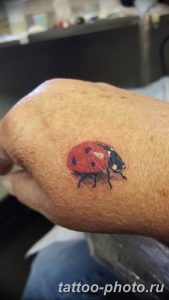 фото идея тату божья коровка 22.12.2018 №338 - photo ladybug tattool- tattoo-photo.ru