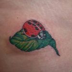 фото идея тату божья коровка 22.12.2018 №339 - photo ladybug tattool- tattoo-photo.ru