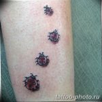 фото идея тату божья коровка 22.12.2018 №341 - photo ladybug tattool- tattoo-photo.ru