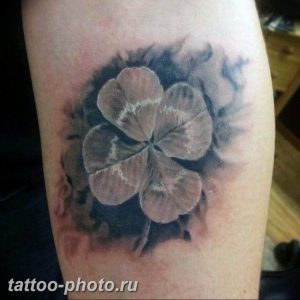 фото тату клевер четырехлистный 24.12.2018 №310 - four leaf clover tattoo - tattoo-photo.ru