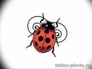 фото идея тату божья коровка 22.12.2018 №001 - photo ladybug tattool- tattoo-photo.ru