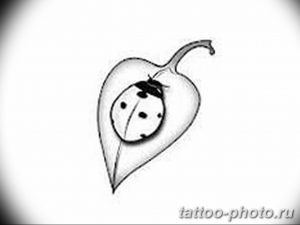 фото идея тату божья коровка 22.12.2018 №002 - photo ladybug tattool- tattoo-photo.ru