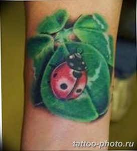 фото идея тату божья коровка 22.12.2018 №003 - photo ladybug tattool- tattoo-photo.ru