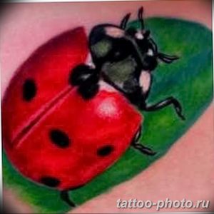 фото идея тату божья коровка 22.12.2018 №004 - photo ladybug tattool- tattoo-photo.ru